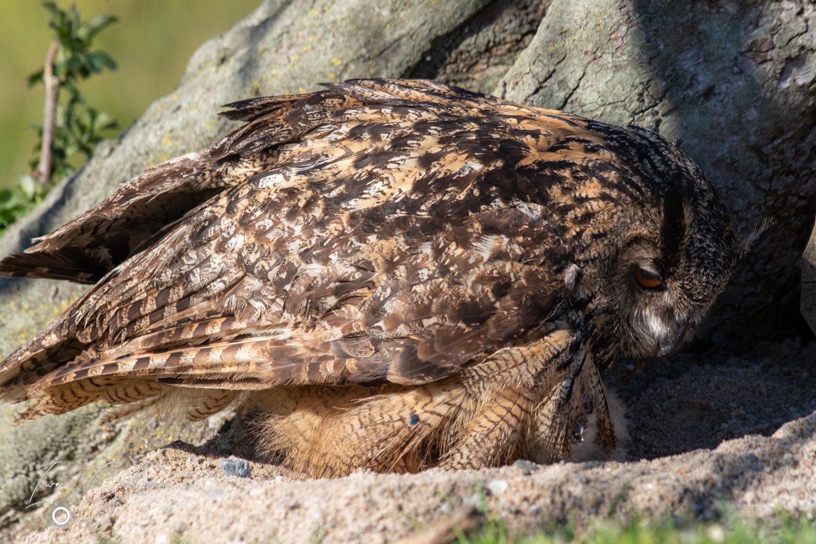 18 april 2022 100530 1DX49192